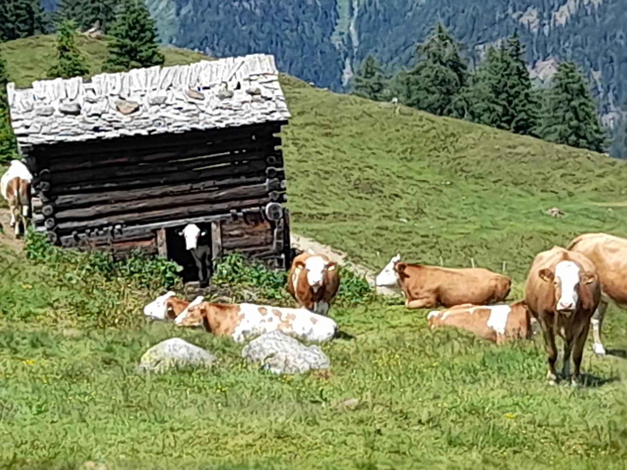 Ferienhaus Grofn Matrei in Osttirol Eksteriør bilde